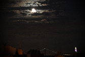Enlarge photo 355