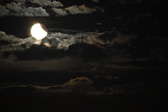 Enlarge photo 361