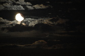 Enlarge photo 362