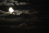 Enlarge photo 363