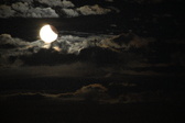 Enlarge photo 364