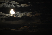 Enlarge photo 366