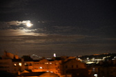 Enlarge photo 370