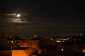 Enlarge photo 381