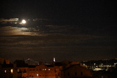 Enlarge photo 382