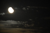Enlarge photo 384