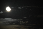 Enlarge photo 385