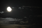 Enlarge photo 386