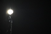 Enlarge photo 388