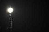 Enlarge photo 389