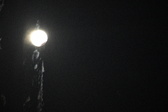 Enlarge photo 390