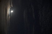 Enlarge photo 394