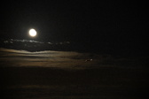 Enlarge photo 401