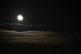 Enlarge photo 405