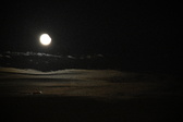Enlarge photo 407