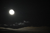 Enlarge photo 410