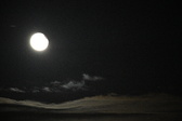 Enlarge photo 411