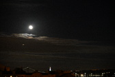 Enlarge photo 421