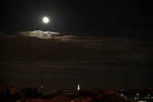 Enlarge photo 428