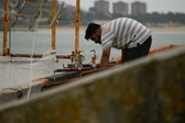 Enlarge photo 58