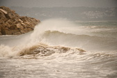 Enlarge photo 62