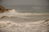 Enlarge photo 63