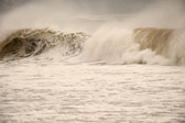 Enlarge photo 78