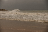 Enlarge photo 79