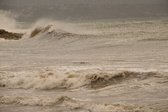 Enlarge photo 83