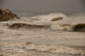 Enlarge photo 86