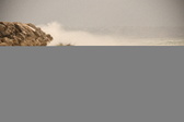 Enlarge photo 94