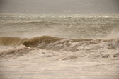Enlarge photo 99