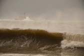 Enlarge photo 104