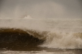 Enlarge photo 105