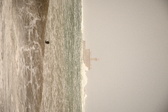 Enlarge photo 113