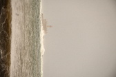Enlarge photo 115