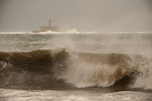 Enlarge photo 124