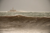 Enlarge photo 134