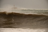 Enlarge photo 135