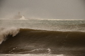 Enlarge photo 136