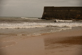 Enlarge photo 156