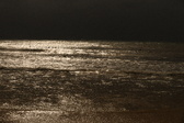 Enlarge photo 165