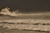 Enlarge photo 182