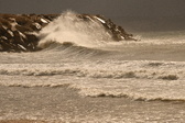 Enlarge photo 183