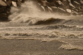 Enlarge photo 184