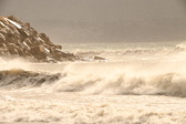 Enlarge photo 185