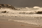 Enlarge photo 186
