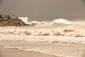 Enlarge photo 187