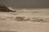 Enlarge photo 196