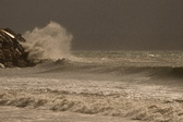 Enlarge photo 203
